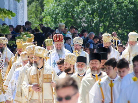 img-9501122_resize