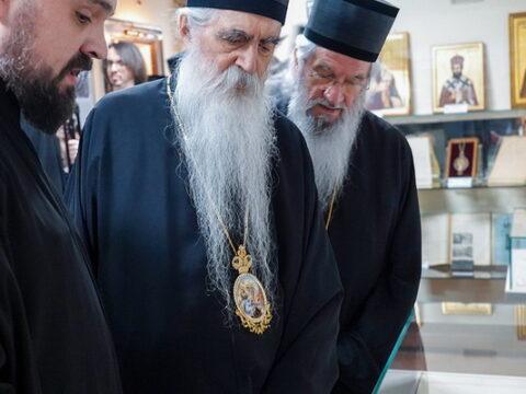 img-9565251_resize