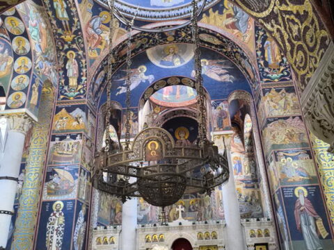 1000005407_resize