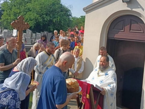 1828d66b-fdff-45fe-a496-8494cf14dbaa_resize