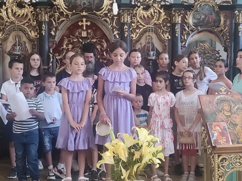 20250628_003914_resize