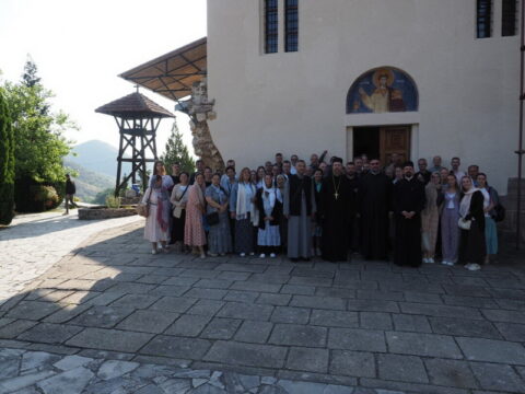 IMG-2a05ff7005ce9b2f31a38a2b714d400f-V_resize