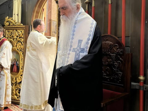 IMG-c33383dd93f8d47eba8157ad96907e77-V_resize