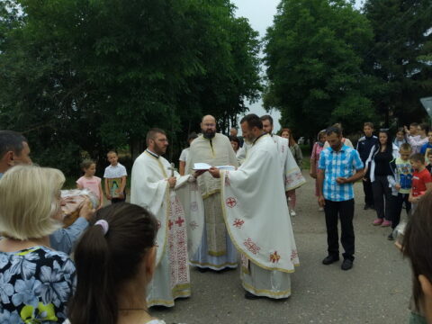 IMG-d6ce85b0227282ca657551138c21f5fa-V_resize