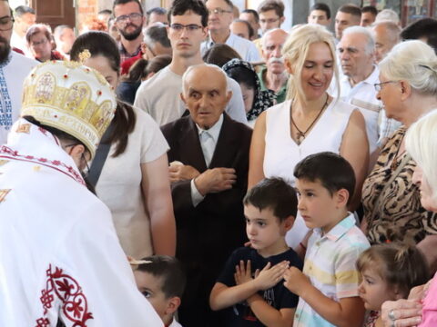 IMG_0993_resize