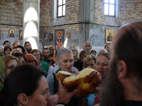 IMG_1012_resize