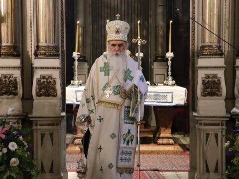 IMG_1082_resize
