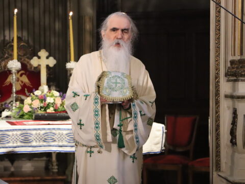 IMG_1135_resize