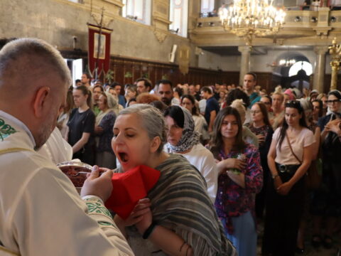 IMG_1156_resize