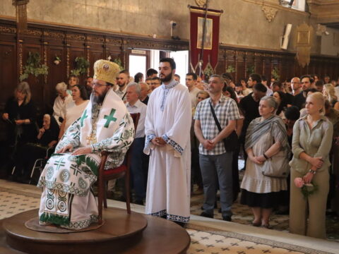 IMG_1170_resize