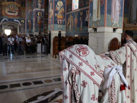 IMG_1261_resize