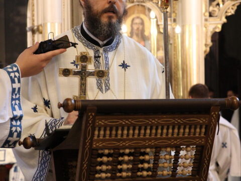 IMG_1398_resize