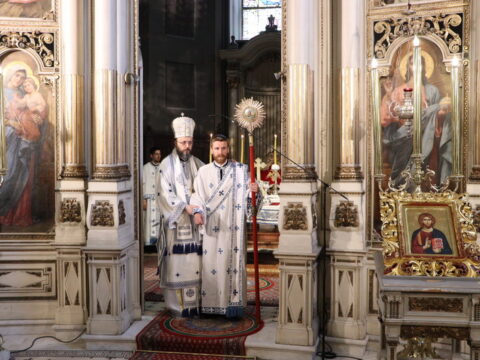 IMG_1445_resize