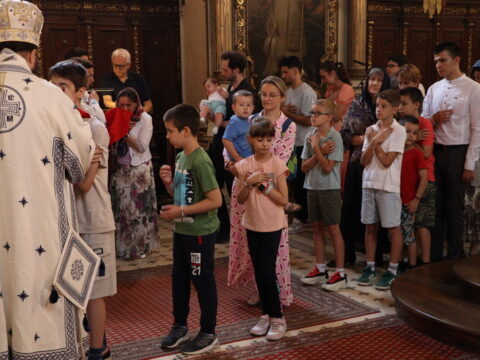 IMG_1460_resize