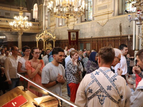 IMG_1461_resize