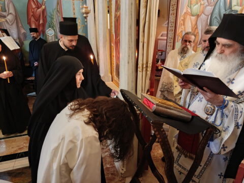 IMG_20250629_091706_resize