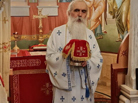 IMG_20250629_102730_resize