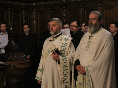 IMG_6937_resize
