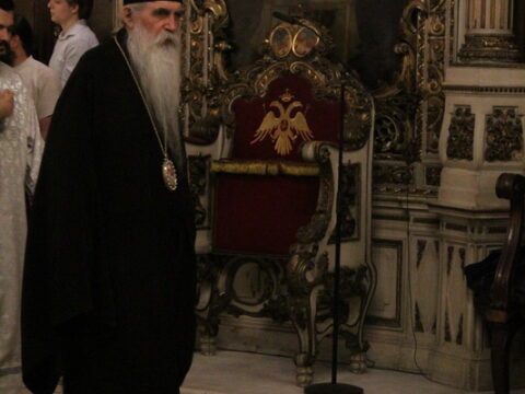 IMG_6973_resize