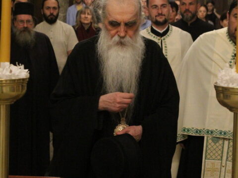 IMG_6980_resize