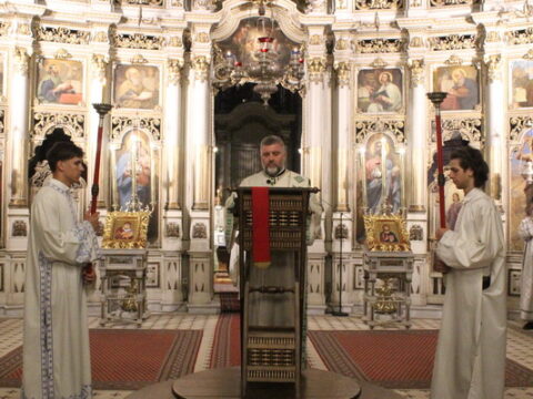 IMG_7011_resize