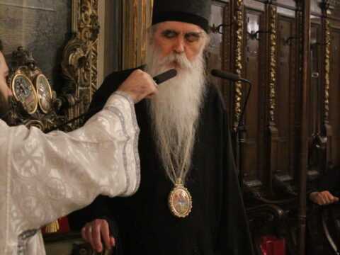 IMG_7049_resize
