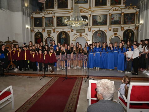 IMG_8645_resize