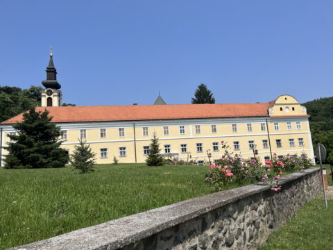 IMG_9084_resize