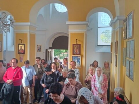 f65006d7-1f6a-4805-9908-0b33ecdf26d4_resize