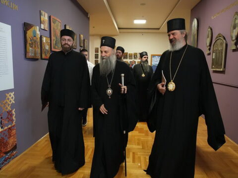 img-3596226_resize