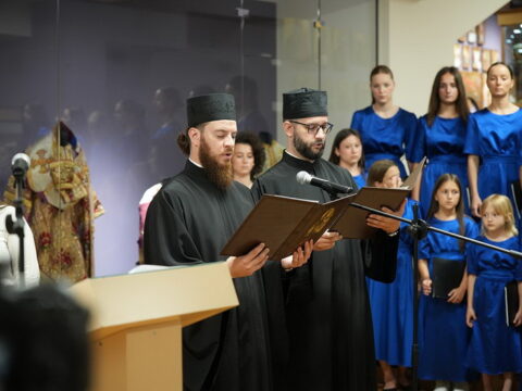 img-8032875_resize