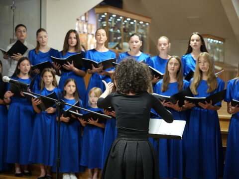 img-8379292_resize