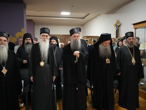 img-8842496_resize