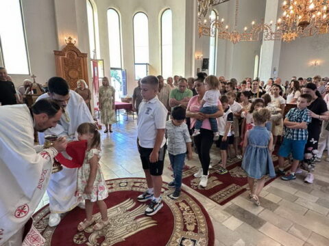 1000043907_resize