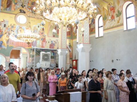 BDJ_1195_resize