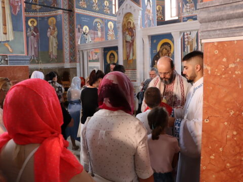 IMG_1646_resize