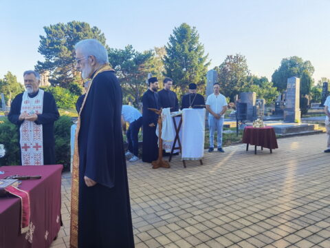 IMG_20250711_191807_resize