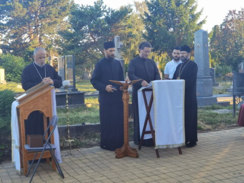 IMG_20250711_192656_resize