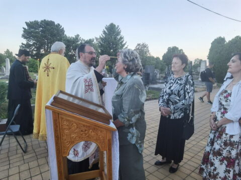 IMG_20250711_200432_resize