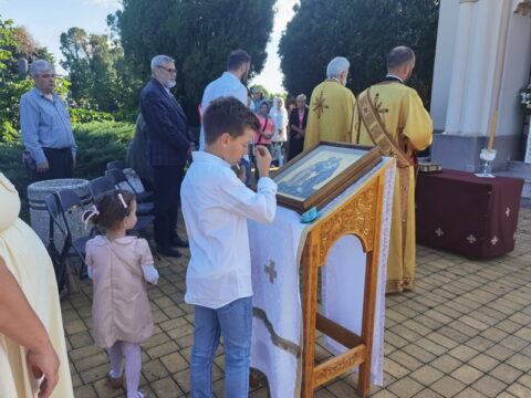 IMG_20250712_080003_resize