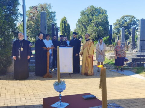 IMG_20250712_081519_resize