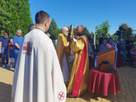 IMG_20250712_084126_resize