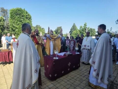 IMG_20250712_090939_resize