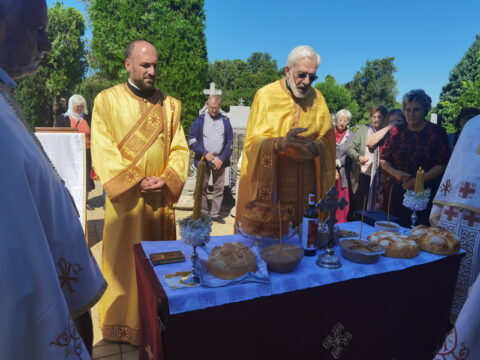 IMG_20250712_095944_resize