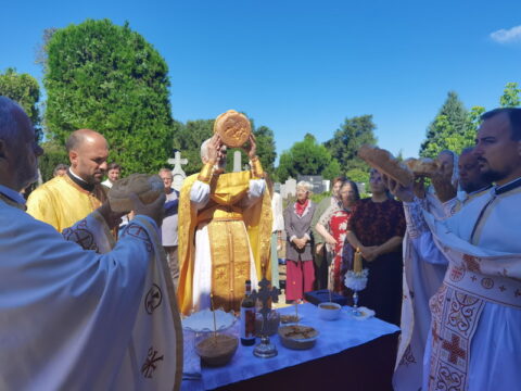 IMG_20250712_100111_resize