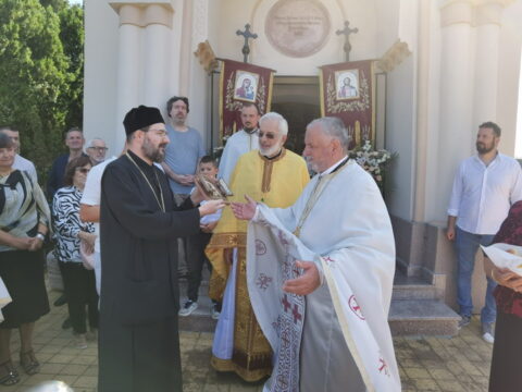 IMG_20250712_101247_resize