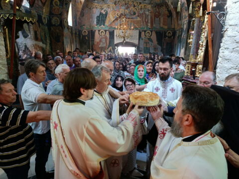 IMG_20250712_104542_resize