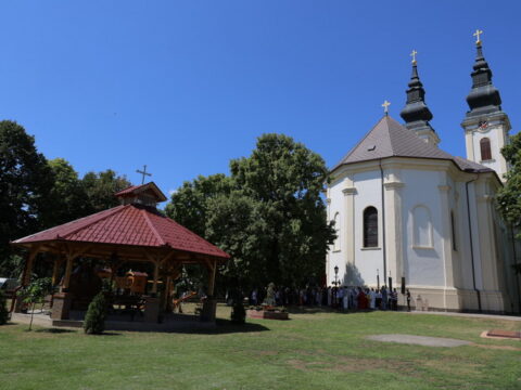 MIRO1540_resize