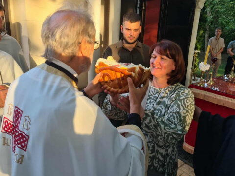 099160ad-c12f-47a8-930c-b768af5af278_resize_resize