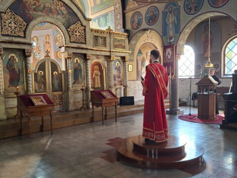1000004320_resize